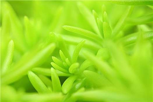 tra cứu kết quả xổ số