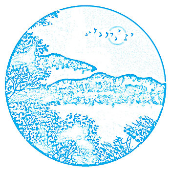 bạch thủ lô hôm nay