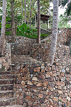 cau bạch thu xsmb