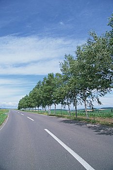 quay thử xổ số gia lai