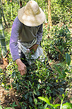 kết quả đề hôm nay
