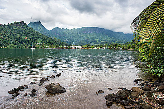 thống kê xổ số gia lai