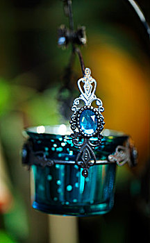 bạch thủ miền bắc