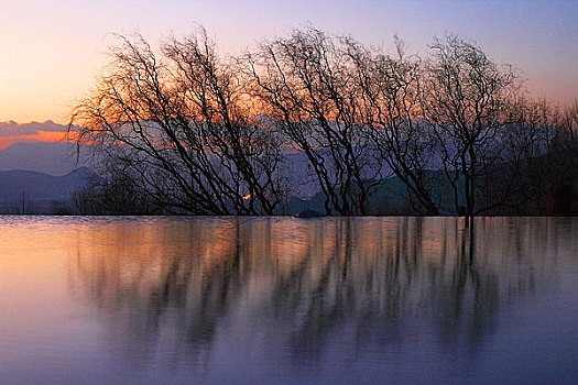 bach thu de ngay mai