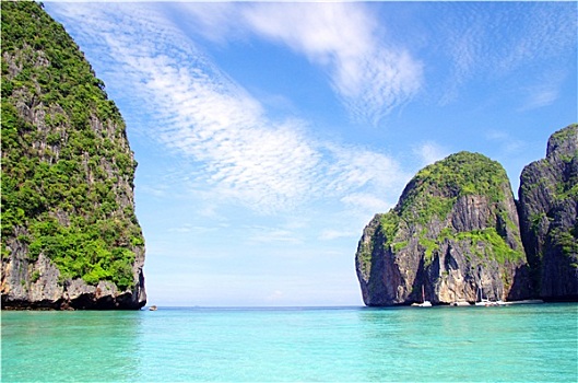 rong bach kim soi cau 88