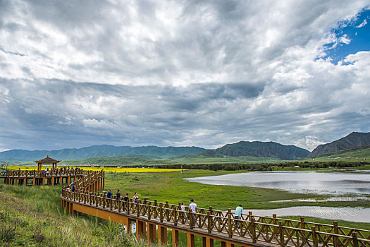 bach thu de ngay mai