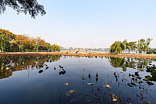 xổ số ninh thuận