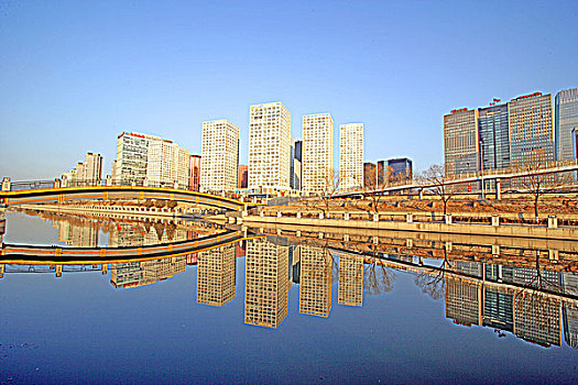 bạch kim lô đề