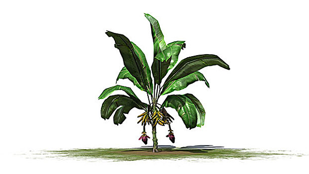 soi cầu xổ số quảng ngãi