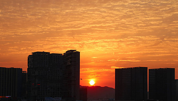 soi cau kg