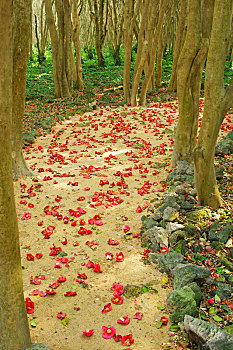 xổ số thứ miền nam