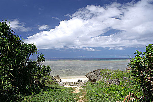bạch thủ miền bắc hôm nay