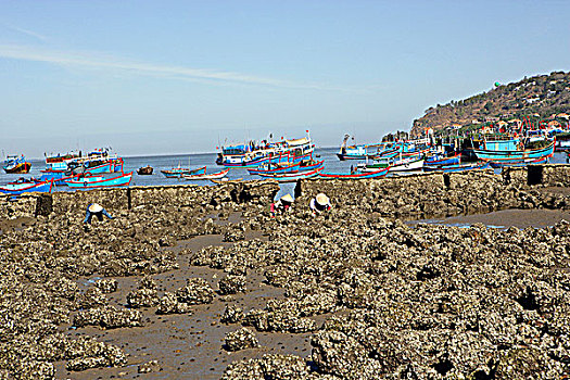 bạch thủ đề ngày mai