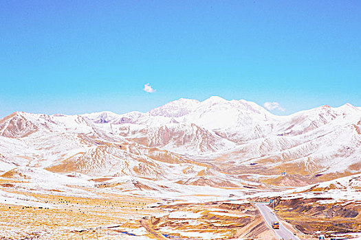 soi cầu rong bach kim