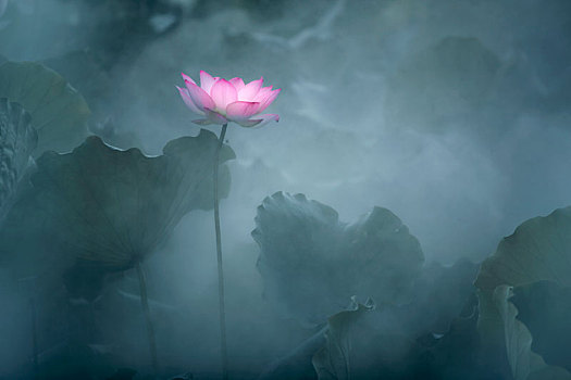 xổ số la