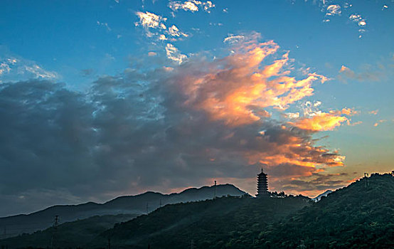 soi cau rong bạch kim