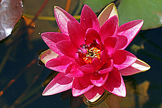xs vinh log