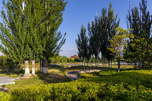 đánh đề trên mạng