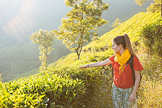 soi cau rong bach kim hom nay