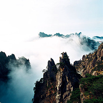 cầu bạch thủ đề