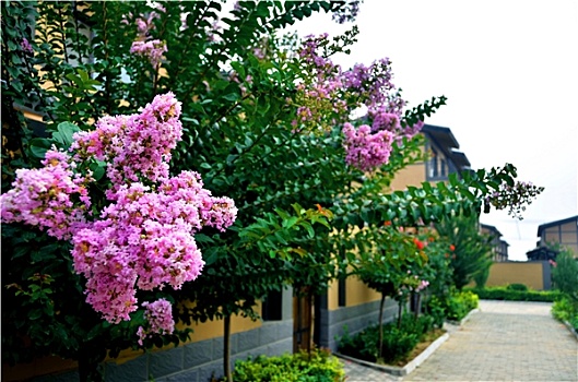 soi cau 6789 hom nay