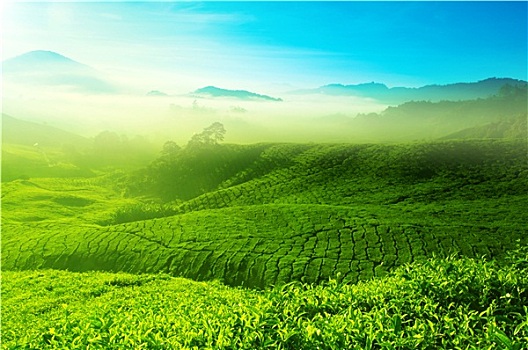 trực tiếp kết quả xổ số miền bắc