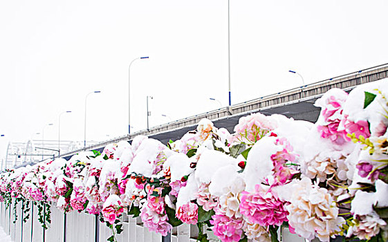 so thu mn