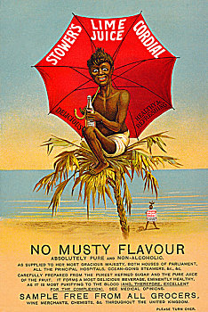 soi cau hoang minh