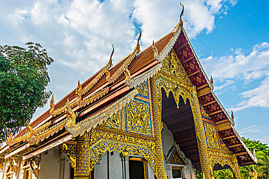 dự đoán bạch thủ miền bắc