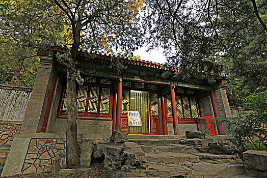 lô trực tuyến