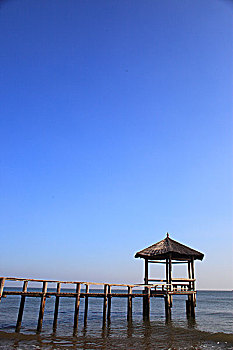 soi cau de bach thu
