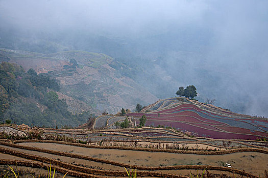 xs minh ngoc truc tiep