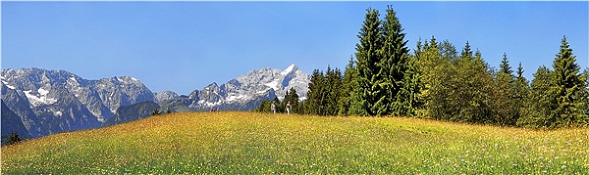 cau lo bach thu
