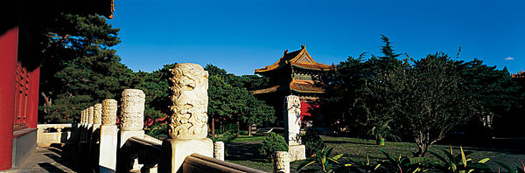 lô bạch thủ miễn phí