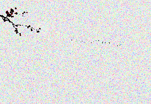 xs tp hcm