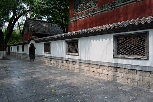 gà đá xong bị khò khè