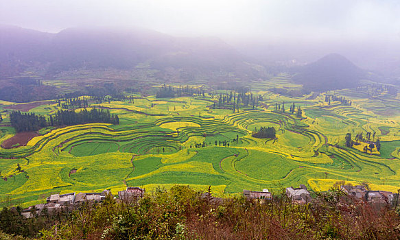 bach thu lo ngay mai